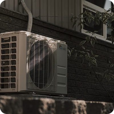 IMG-2.png IMG-2.png
